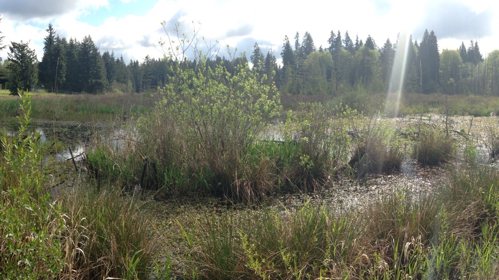 Environmental Excellence Award - April 2015; Hooven Bog Preservation | Flickr