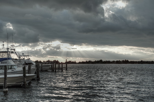 Hector Alejandro | Flickr