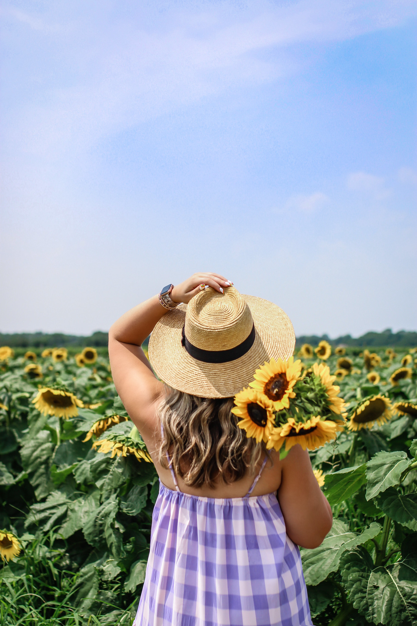 Why You Need To Visit A Sunflower Field This Year - living after midnite