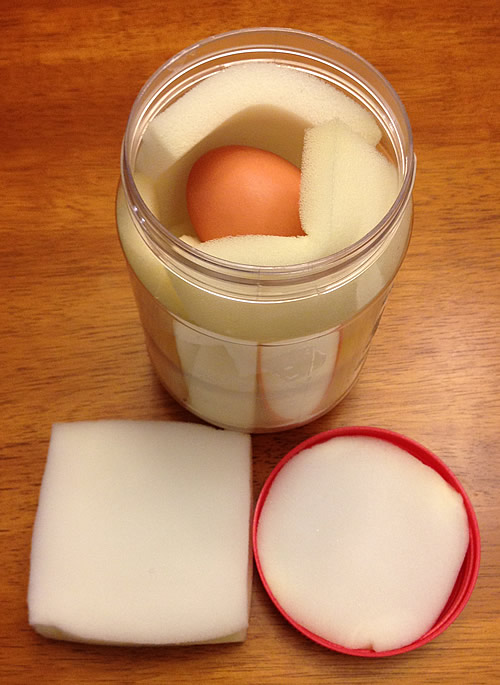 4th Grade Egg Drop Project | Living Digitally