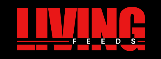 How Veteran Values Shape Semper Fi Heating and Cooling's Work Ethic? - LivingFeeds