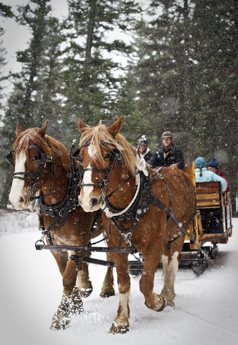 Sleigh Ride Dinner | Lone Mountain Ranch