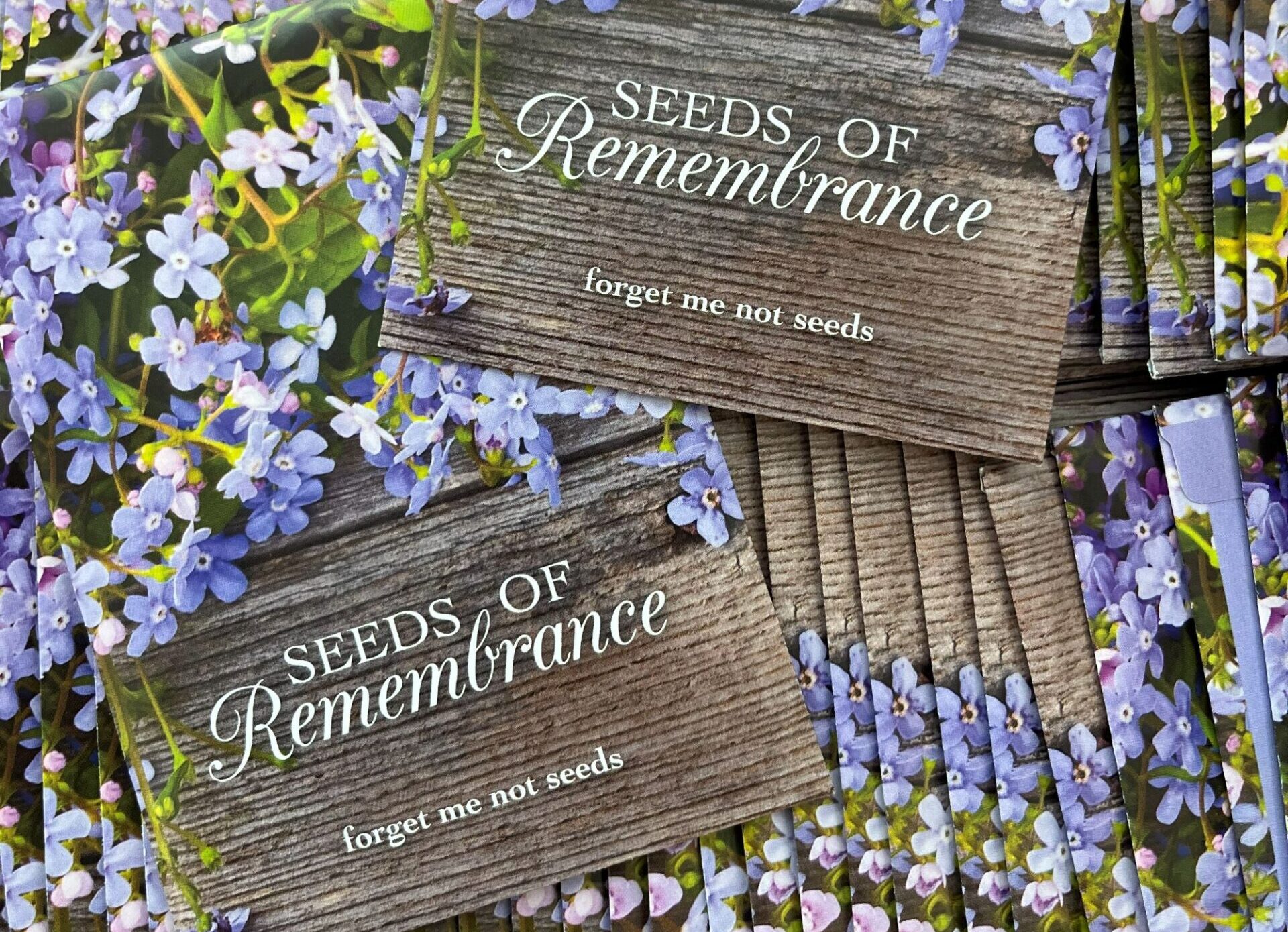 20 Years of Memory Making: Day of Remembrance at Lucile Packard Children’s Hospital Stanford - Lucile Packard Foundation for Children's Health
