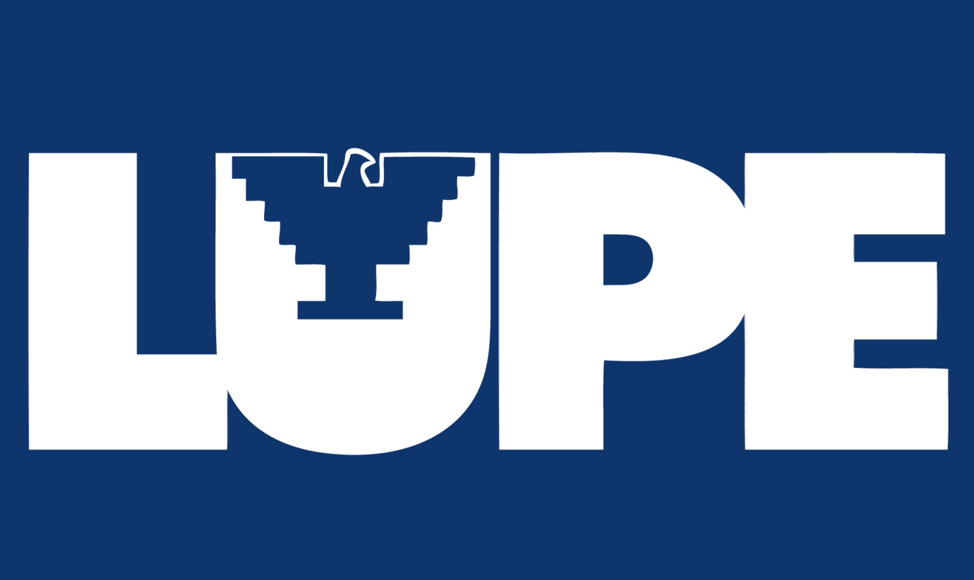 10 Ways ICE's aggressive anti-immigration enforcement Has Hit the RGV - LUPE