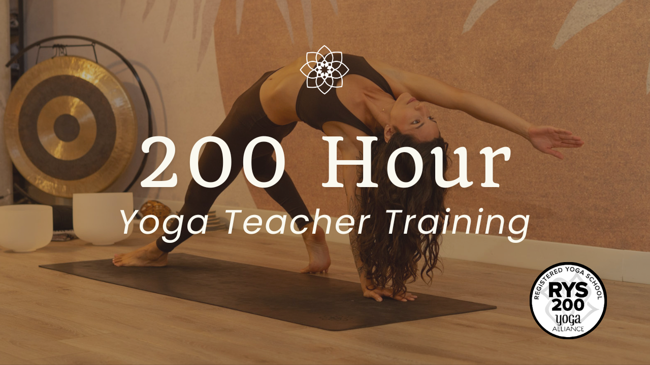 Accredited online 200 hour yoga teacher training
