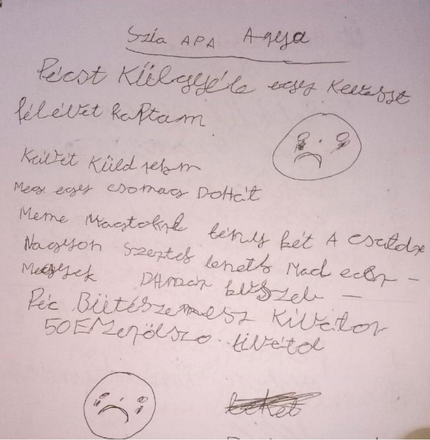Értelmi fogyatékos hogyan kerülhet börtönbe, ha azt törvény tiltja? - Helsinki Figyelő