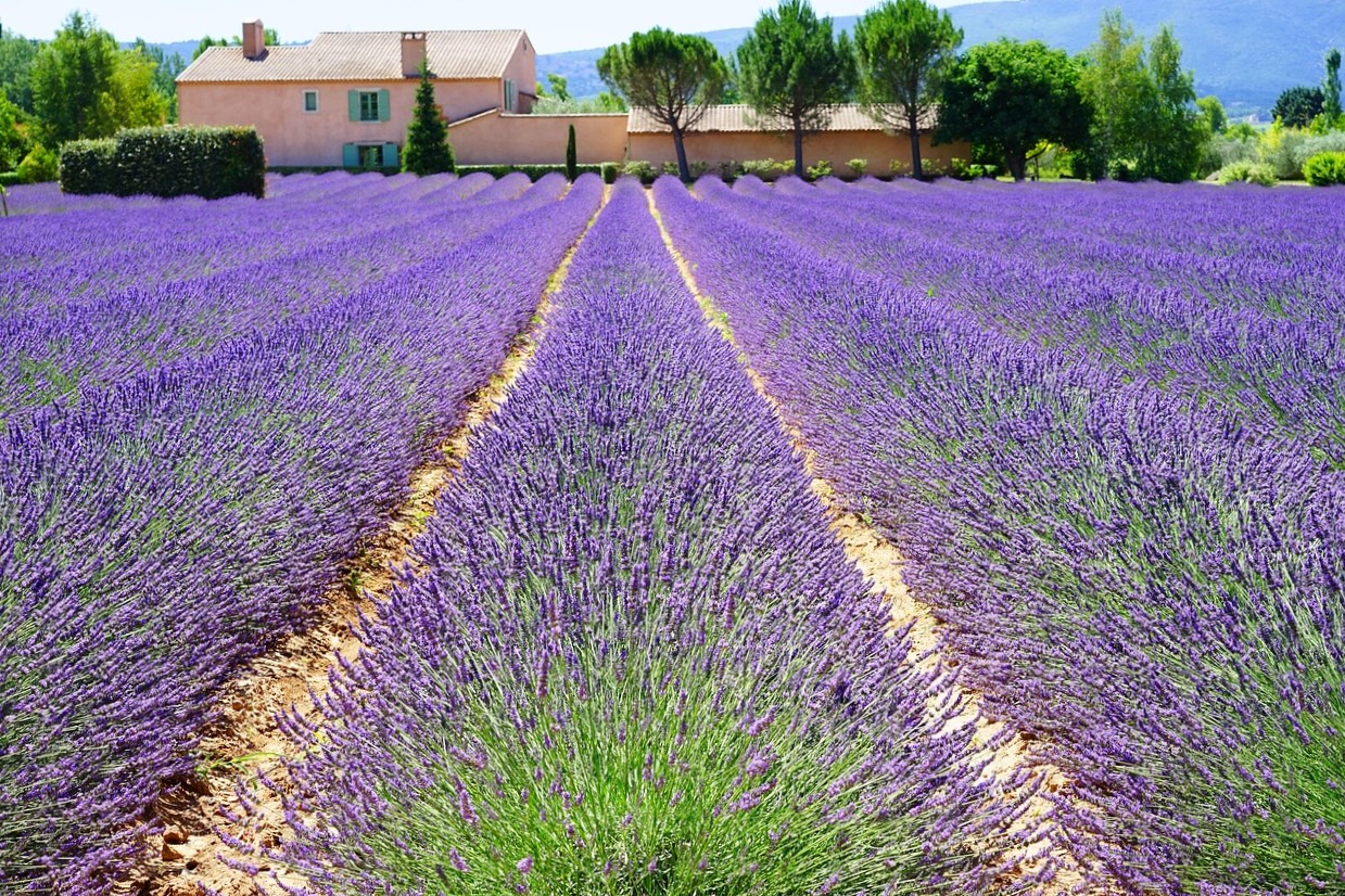 A francia vidéki stílus - Vidéken