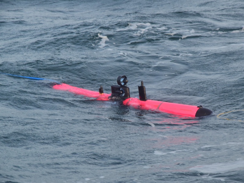 Introducing Lobster Robotics - Maritime Professionals