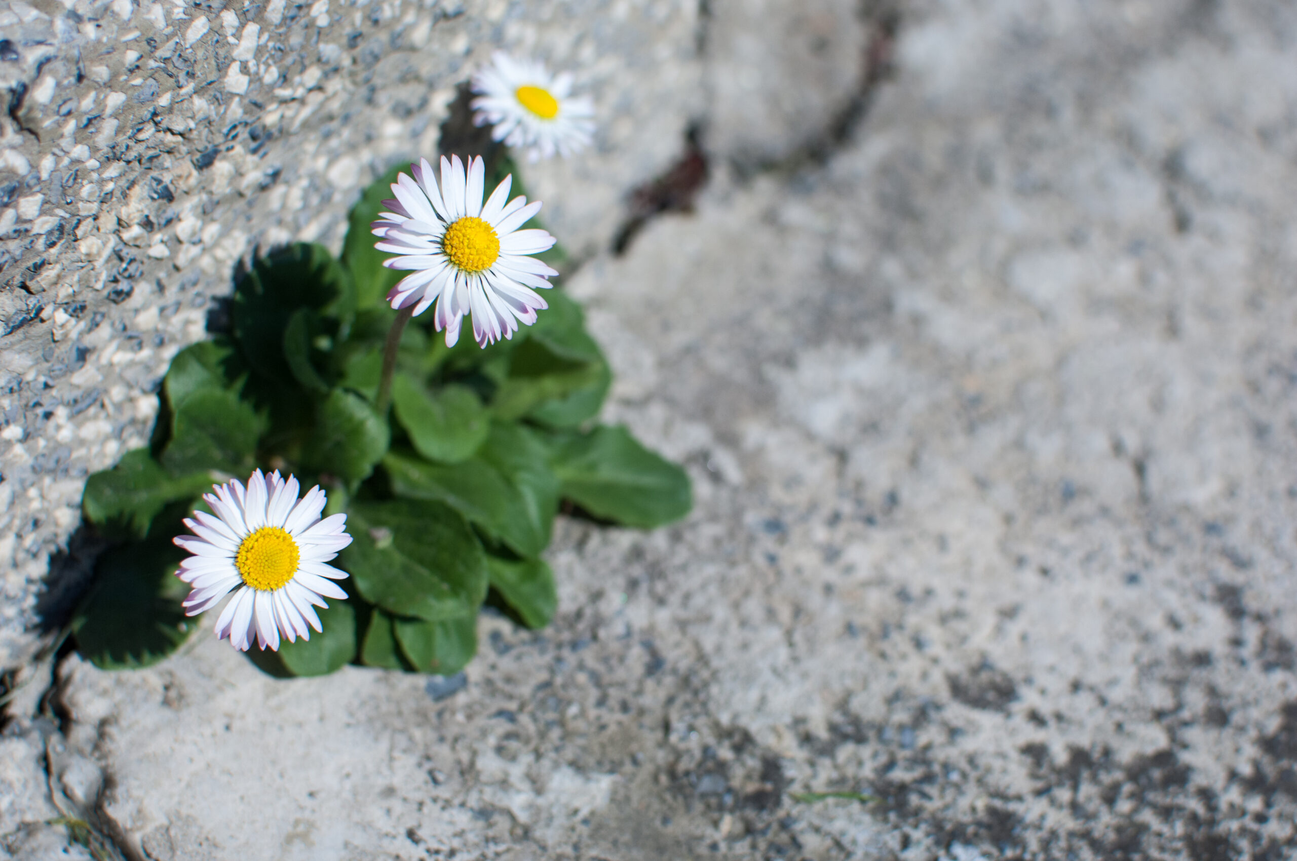 How You Can Maintain Consistency With ADHD