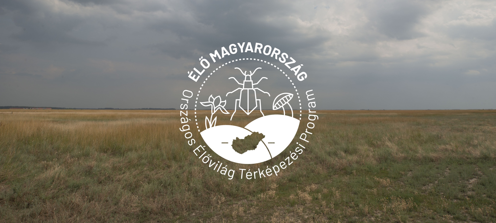 Egy megyényi természet sorsa múlik azon, mit tudunk róla – és most bárki beszállhat a rejtett értékek feltérképezésébe | Másfélfok
