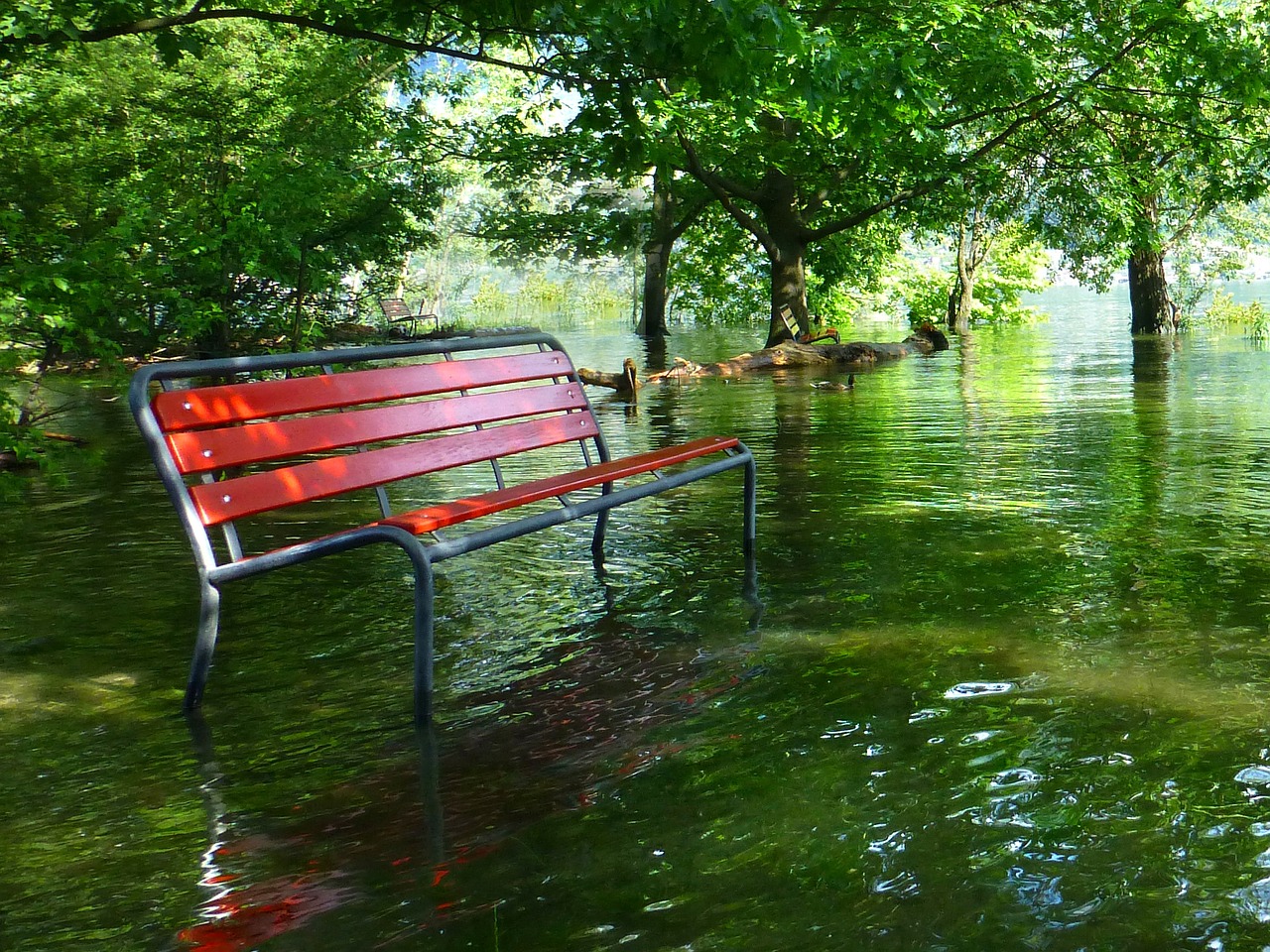The Humanities and Climate Change - Mass Humanities