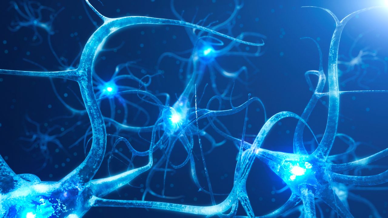Come possiamo programmare i neuroni perché funzionino nei biocomputer? | Wired Italia