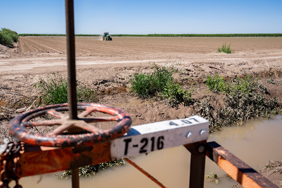 Drought conditions intensify across Texas - AgriLife Today