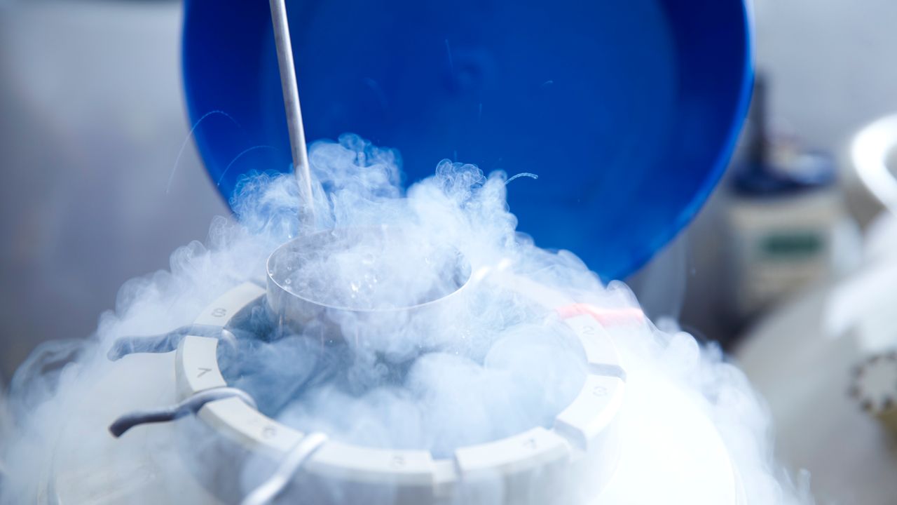 The Rise of Egg Freezing as a Fertility Choice | Allure