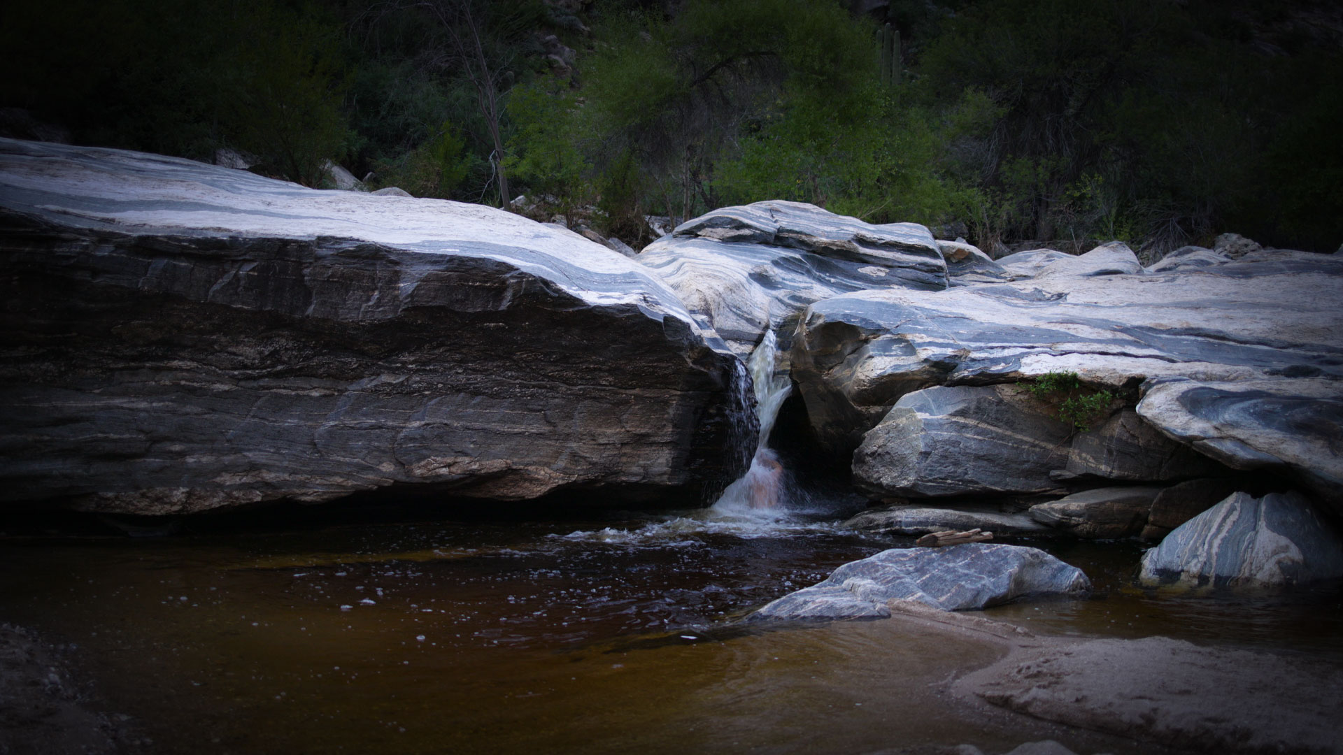 Water Harvester: An Invitation to Abundance - AZPM