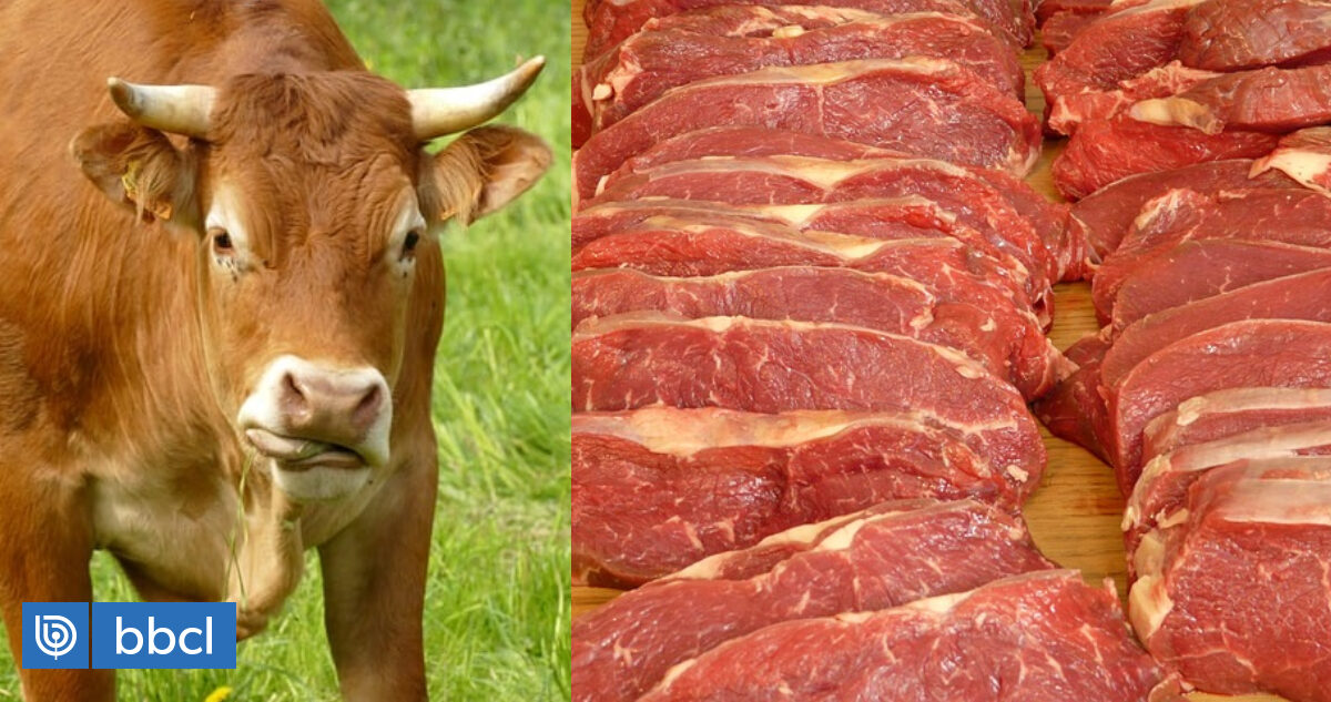 Controlar el consumo excesivo de carnes rojas sí podría ayudar a reducir las emisiones, dice estudio | Notas | BioBioChile
