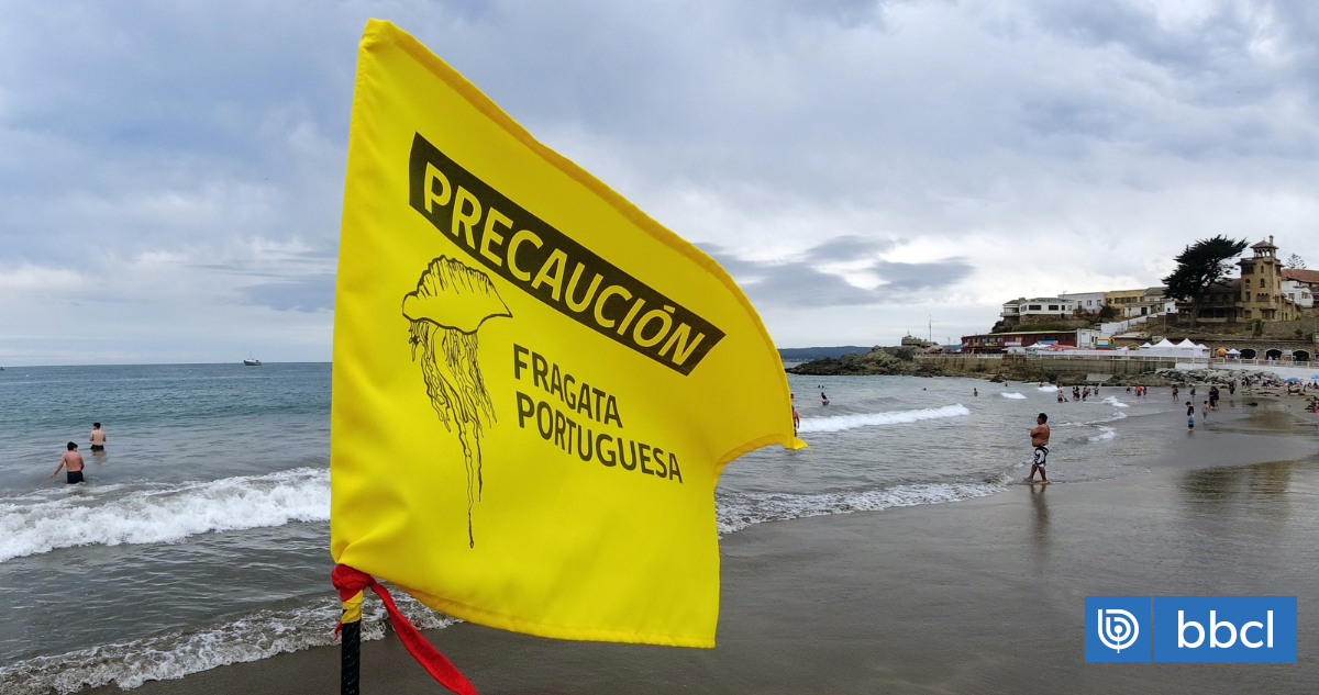 Levantan última alerta vigente por Fragata Portuguesa en región de Valparaíso: playas ya están aptas | Nacional | BioBioChile