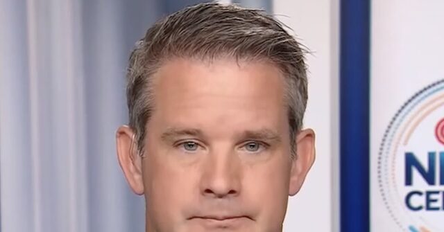 Kinzinger: In 5-10 Years No One Will Admit They Supported Trump
