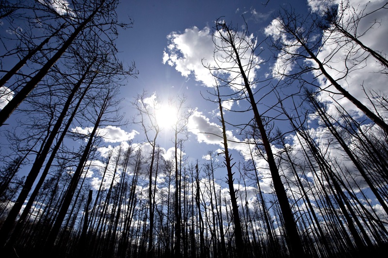 Is Fort McMurray still insurable?