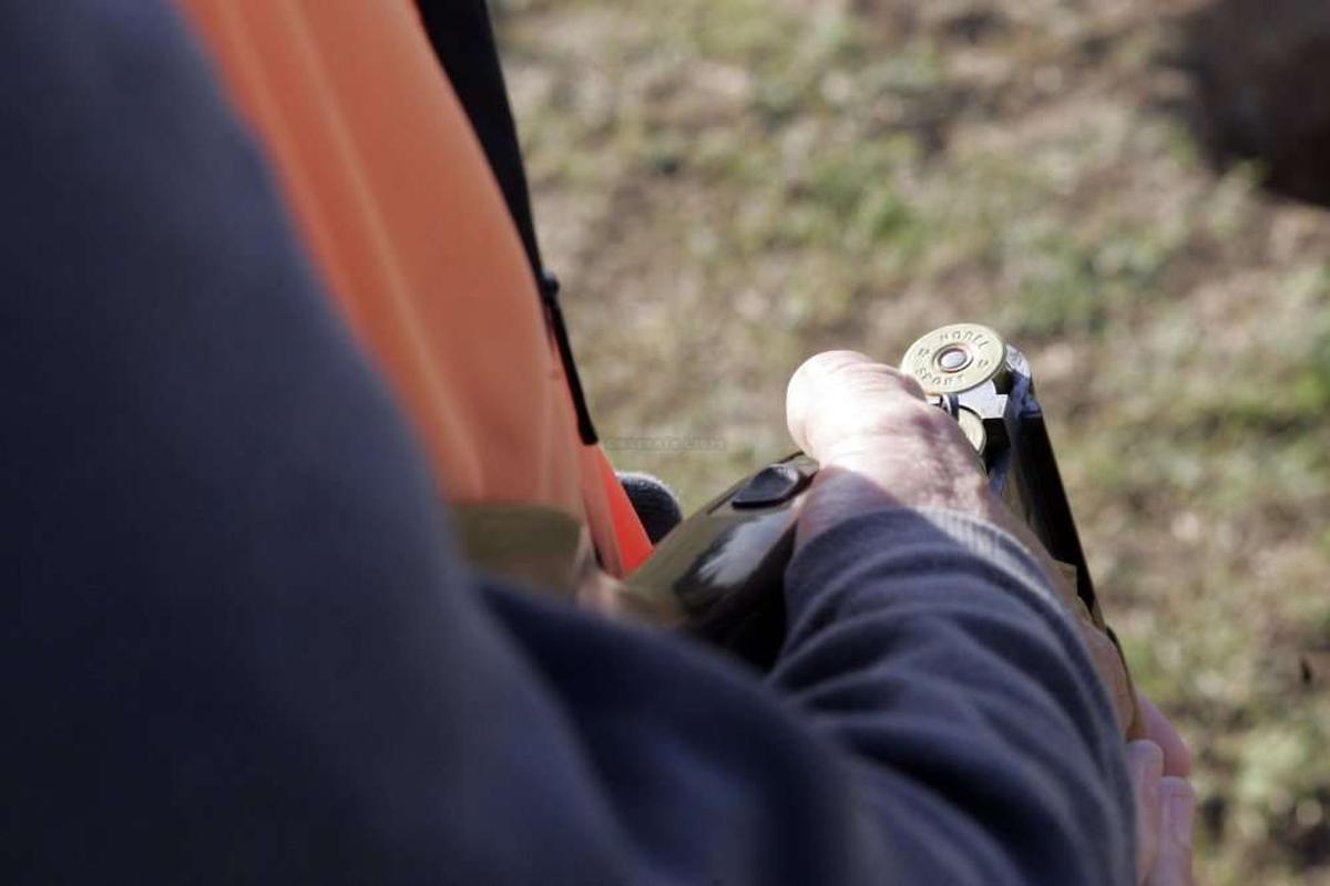 Mareuil: elle renverse son chien, le chasseur lui tire dessus - Charente Libre.fr