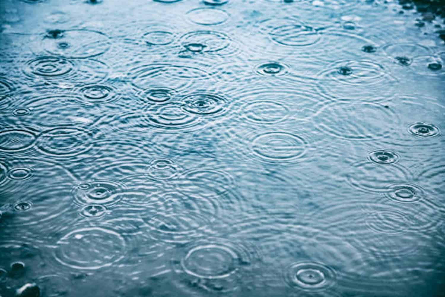 OPINION | Raining on my parade | The Citizen