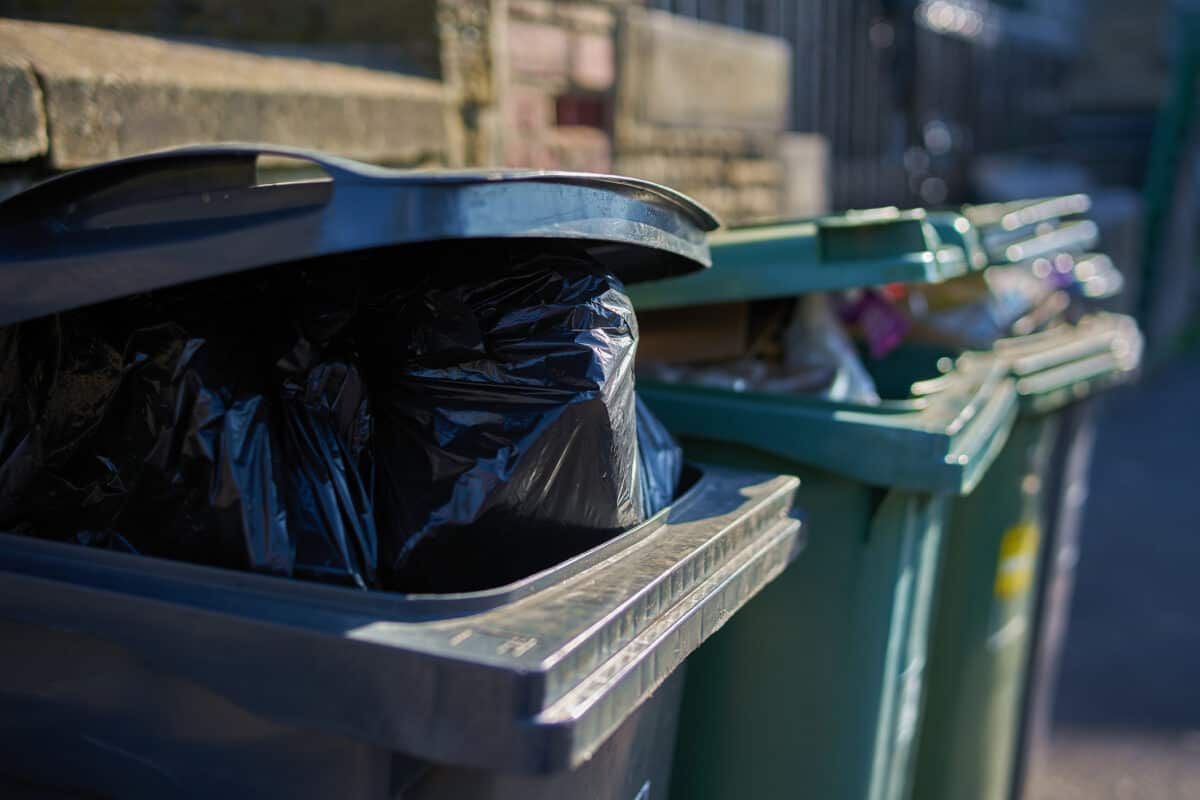 In case you missed it: Stinky bins again | Why ANC rejected Bozell's meeting request | Lebo M sues Zim comedian | The Citizen