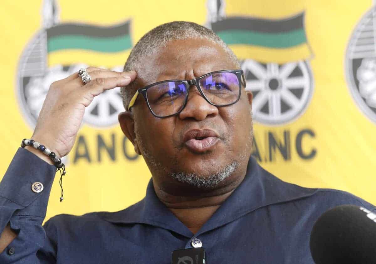 UPDATE: Court may rule today on whether Eastern Cape ANC conference will go ahead | The Citizen