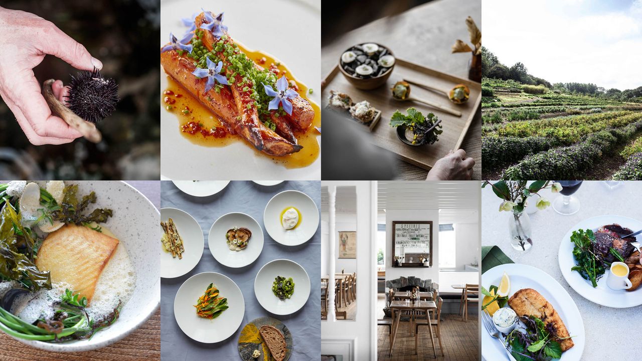 Michelin Green Star restaurants UK and Ireland | CN Traveller