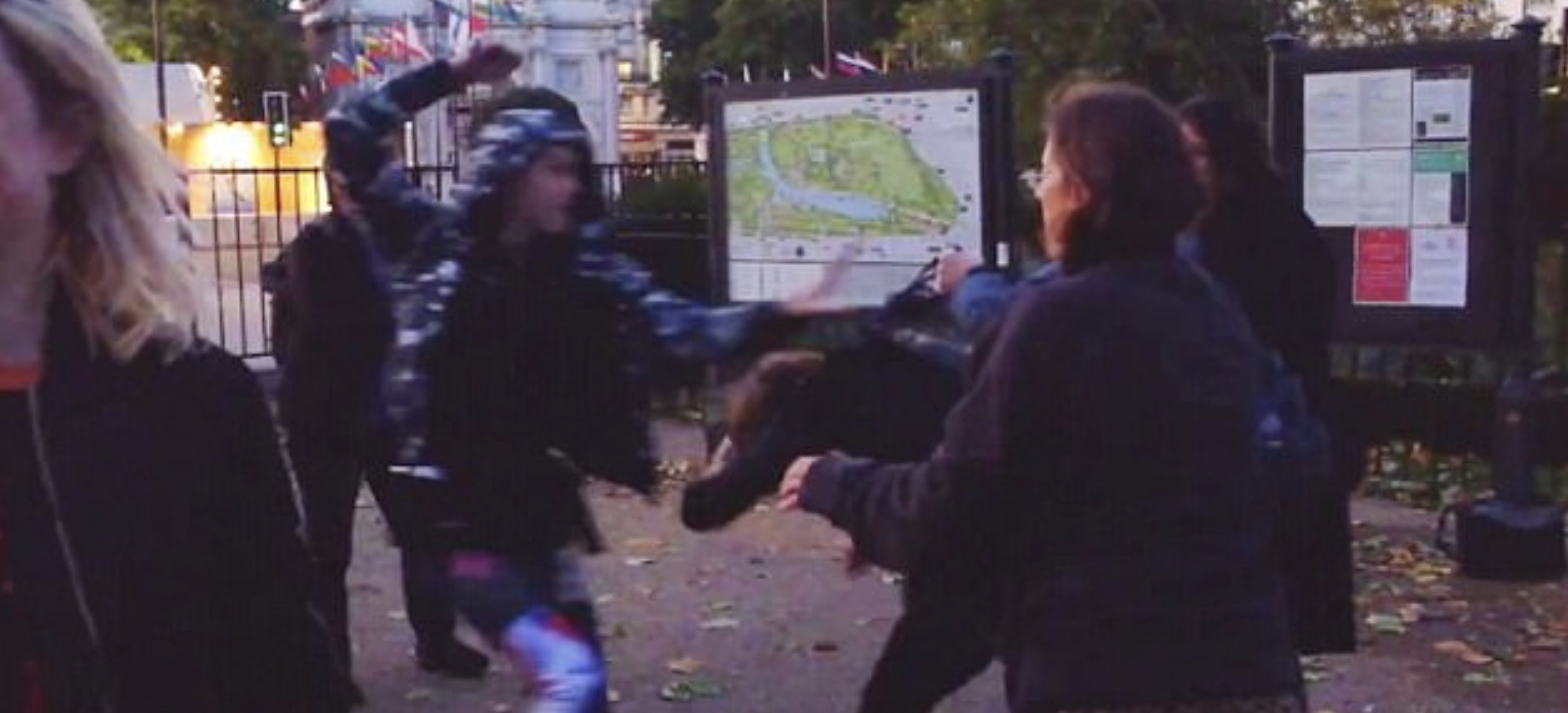 Trans-identified male, Tara Wolf, convicted of assault after Hyde Park attack