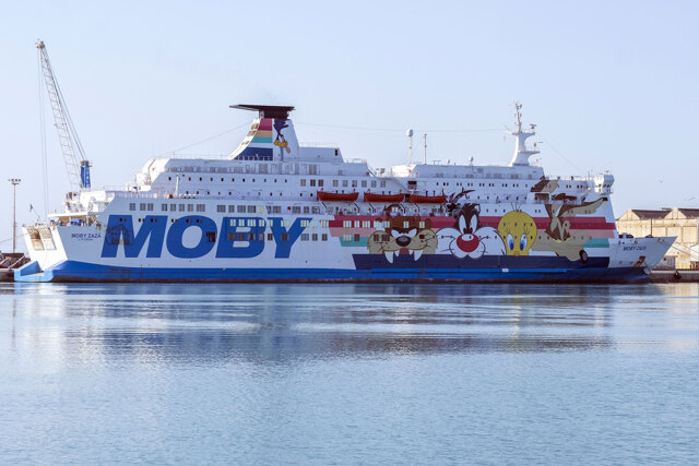 Cosa sono e quanto costano le navi da quarantena per i migranti? - Annalisa Camilli - Internazionale