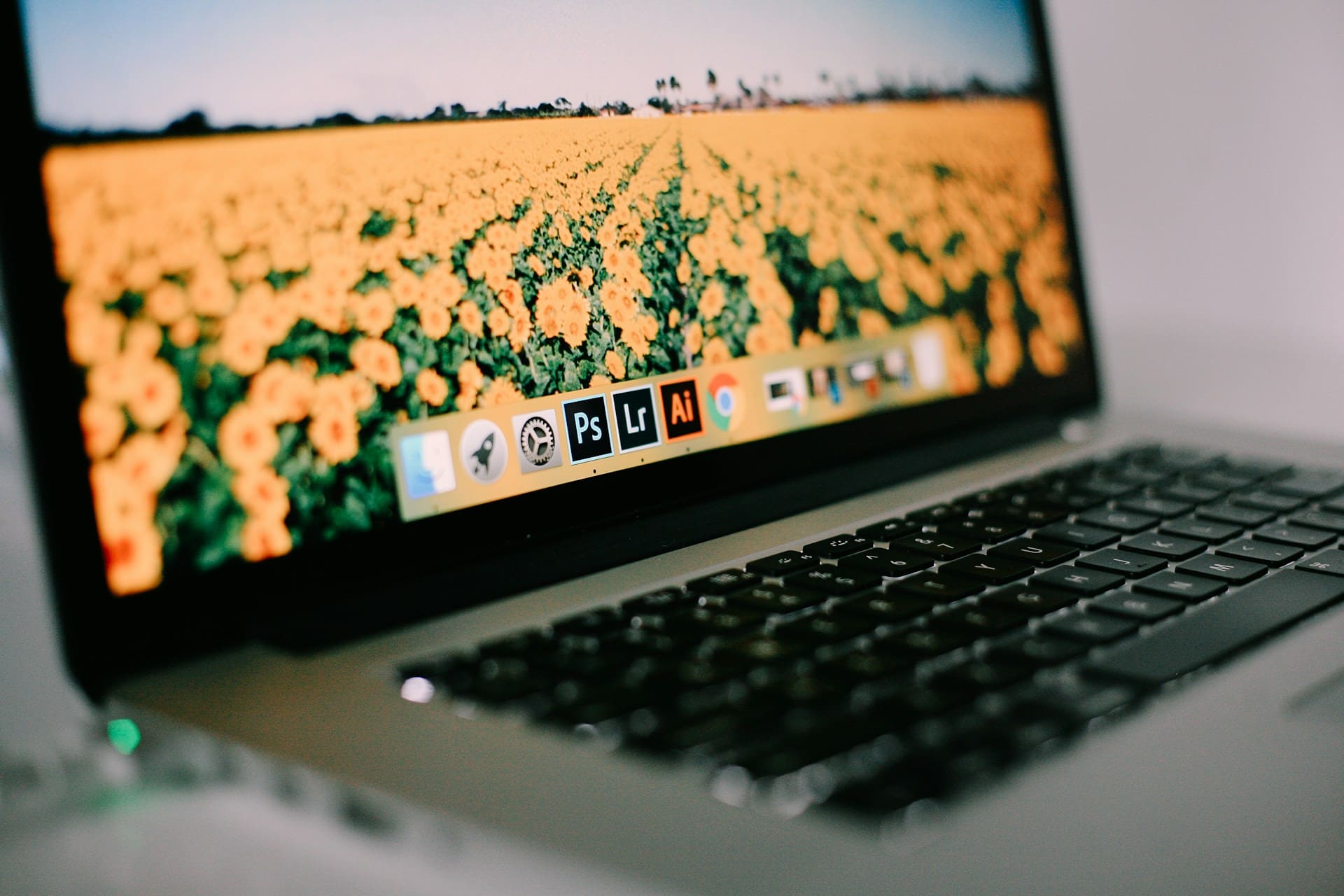 Best Photo Editing Software for Mac: Top Picks 2025 | Skylum Blog