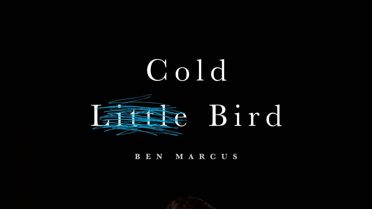 “Cold Little Bird” | The New Yorker