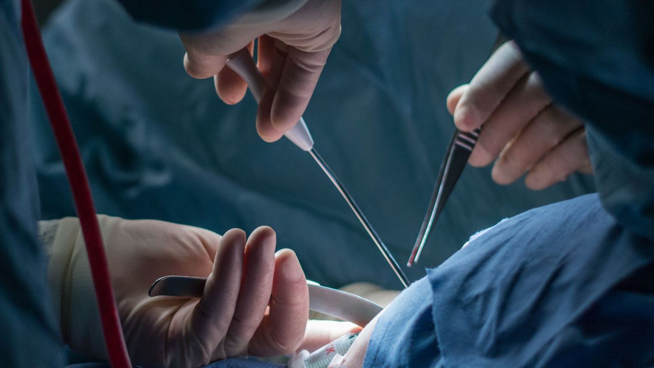 The Deepest Cut | The New Yorker