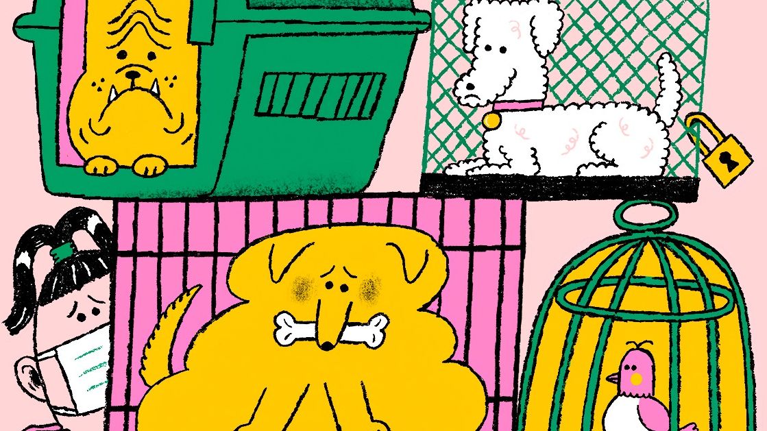 What Will Become of the Pandemic Pets? | The New Yorker