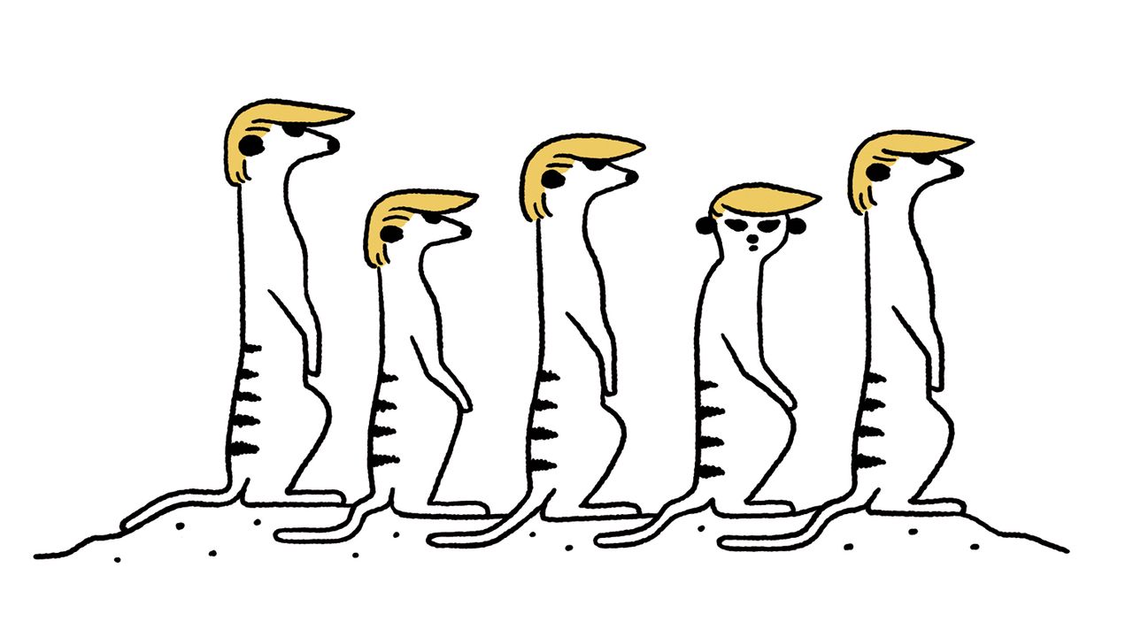 Now That I Run the Zoo | The New Yorker