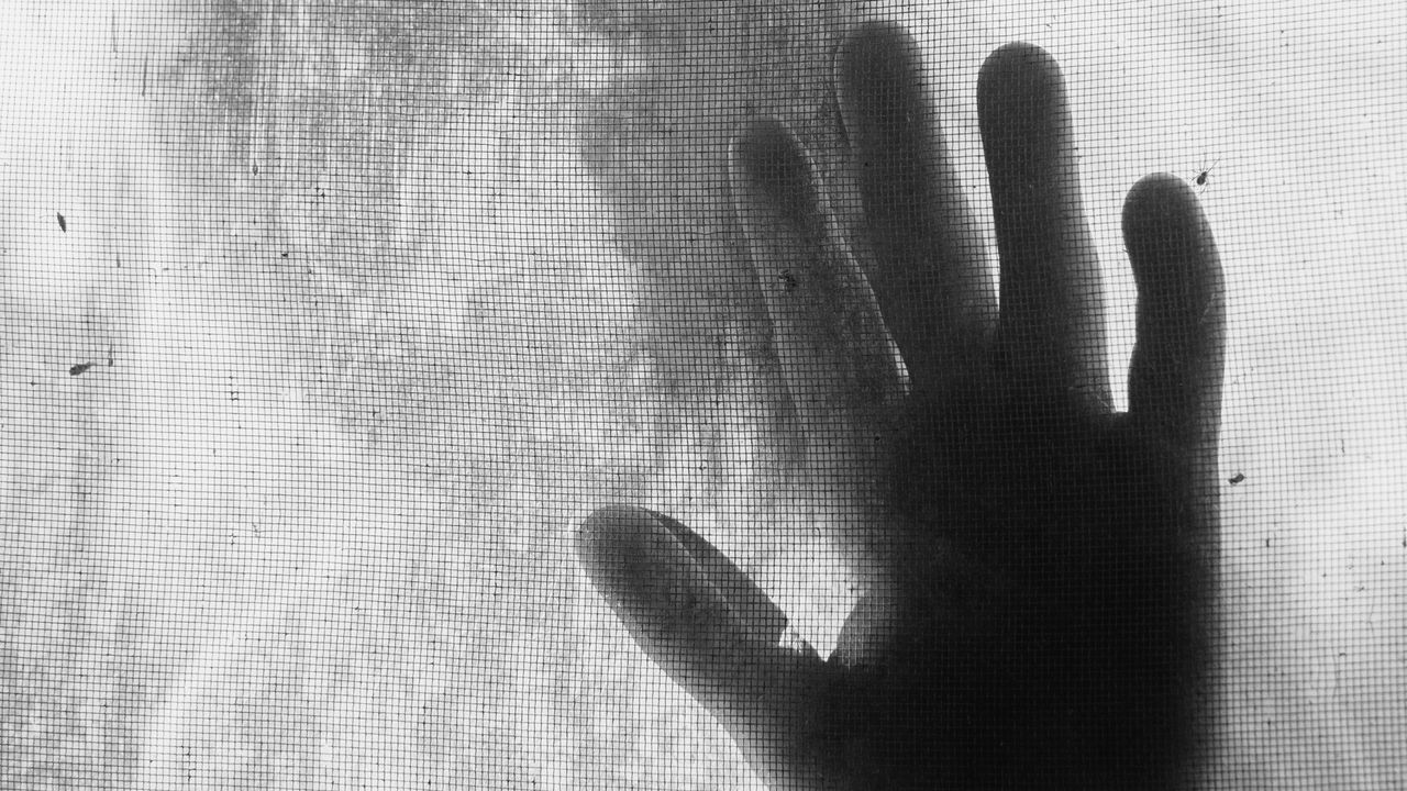 “Mother of Men,” by Lauren Groff | The New Yorker