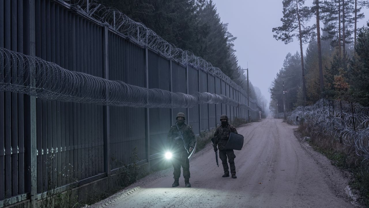 The Migrants in the Ancient Forest | The New Yorker
