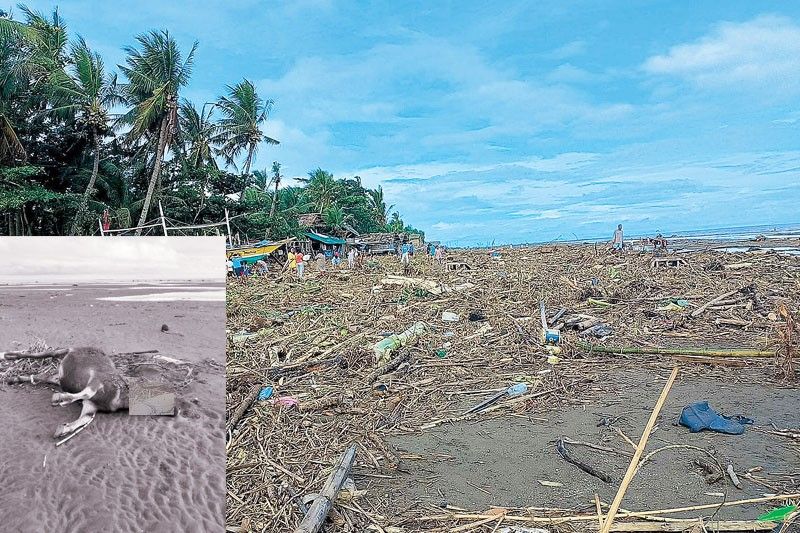 Flash floods, landslides hit Negros Occidental; 1 dead | Philstar.com