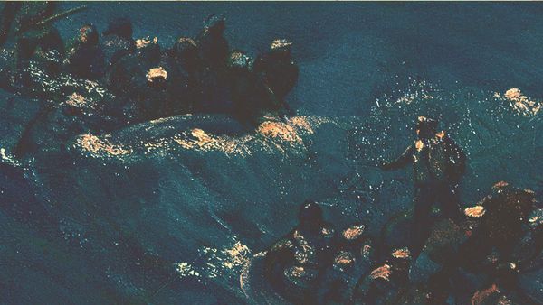 The Avalanches: Since I Left You Album Review | Pitchfork