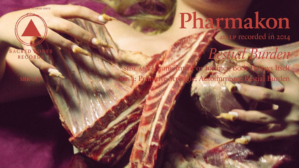 Pharmakon, Sound Art, and Expressing Bodily Disturbance Through Noise | Pitchfork
