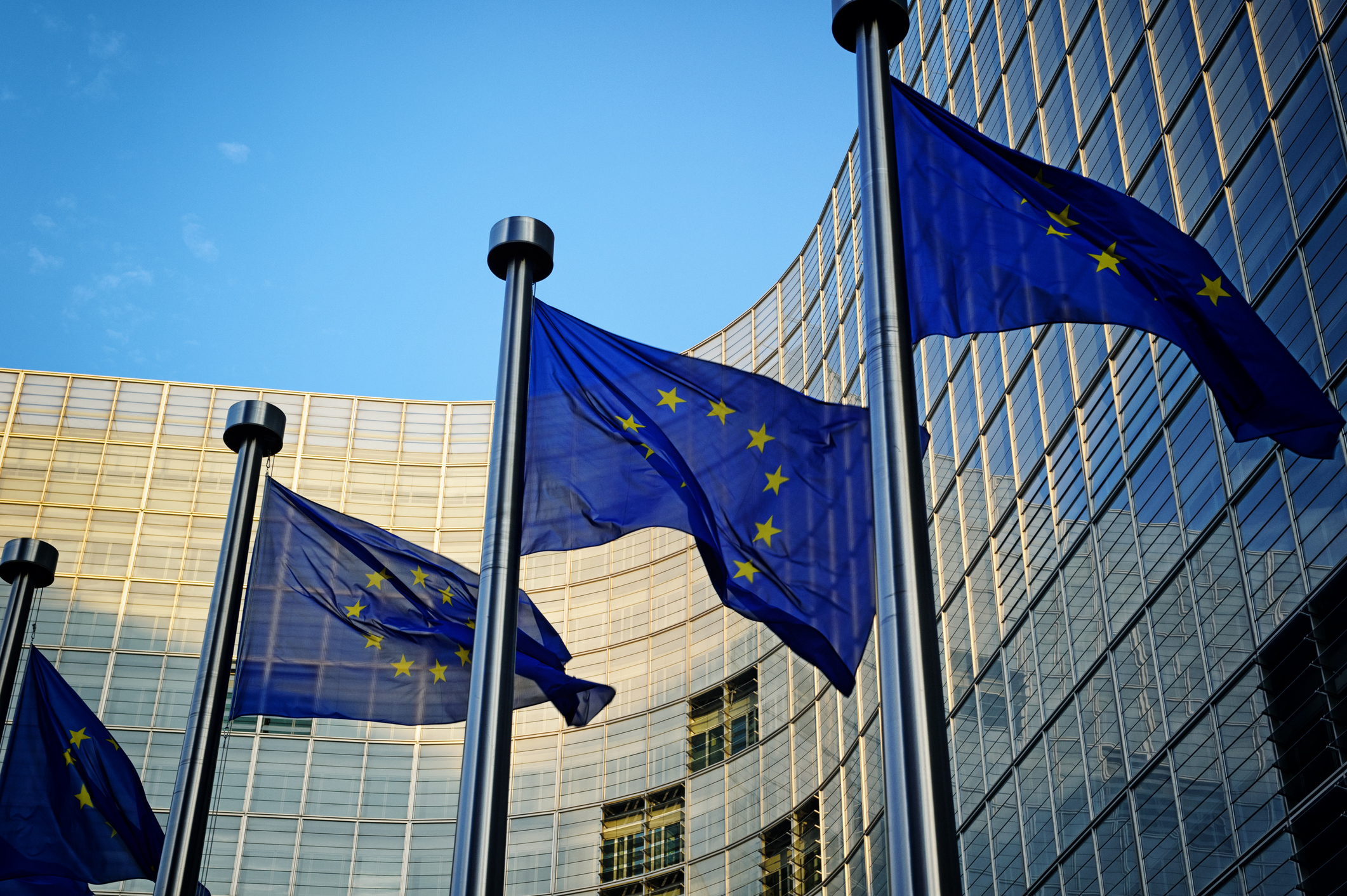 Council of EU mulls limiting CSDDD scope to firms with 5,000+ employees