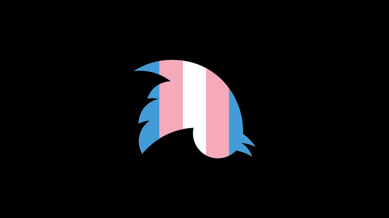 Hate Speech on Twitter Against Trans People Has to Stop | Them