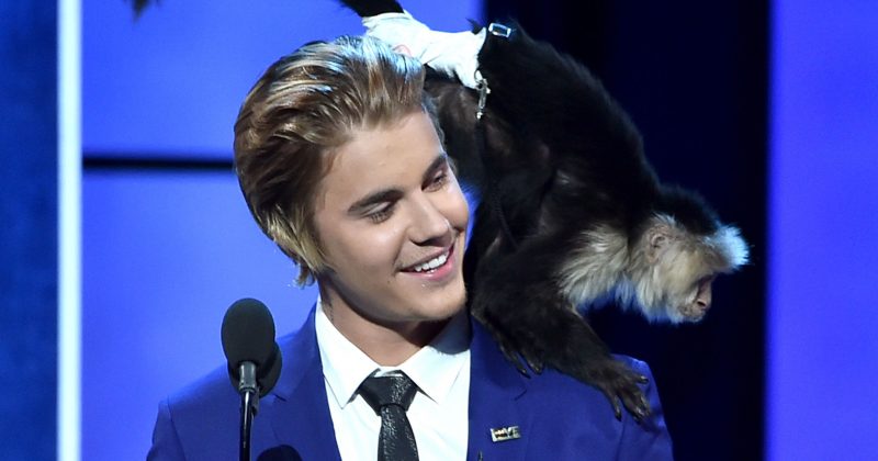 EXCLUSIVE: Justin Bieber’s monkey is still traumatized from living with him