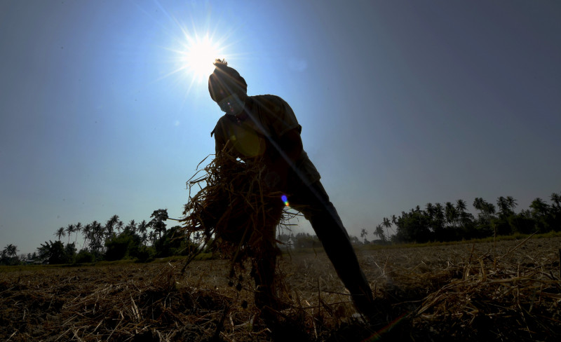 Nation braces for possible record heat as El Niño threat looms over 2026 and 2027 | Malaysia | The Vibes