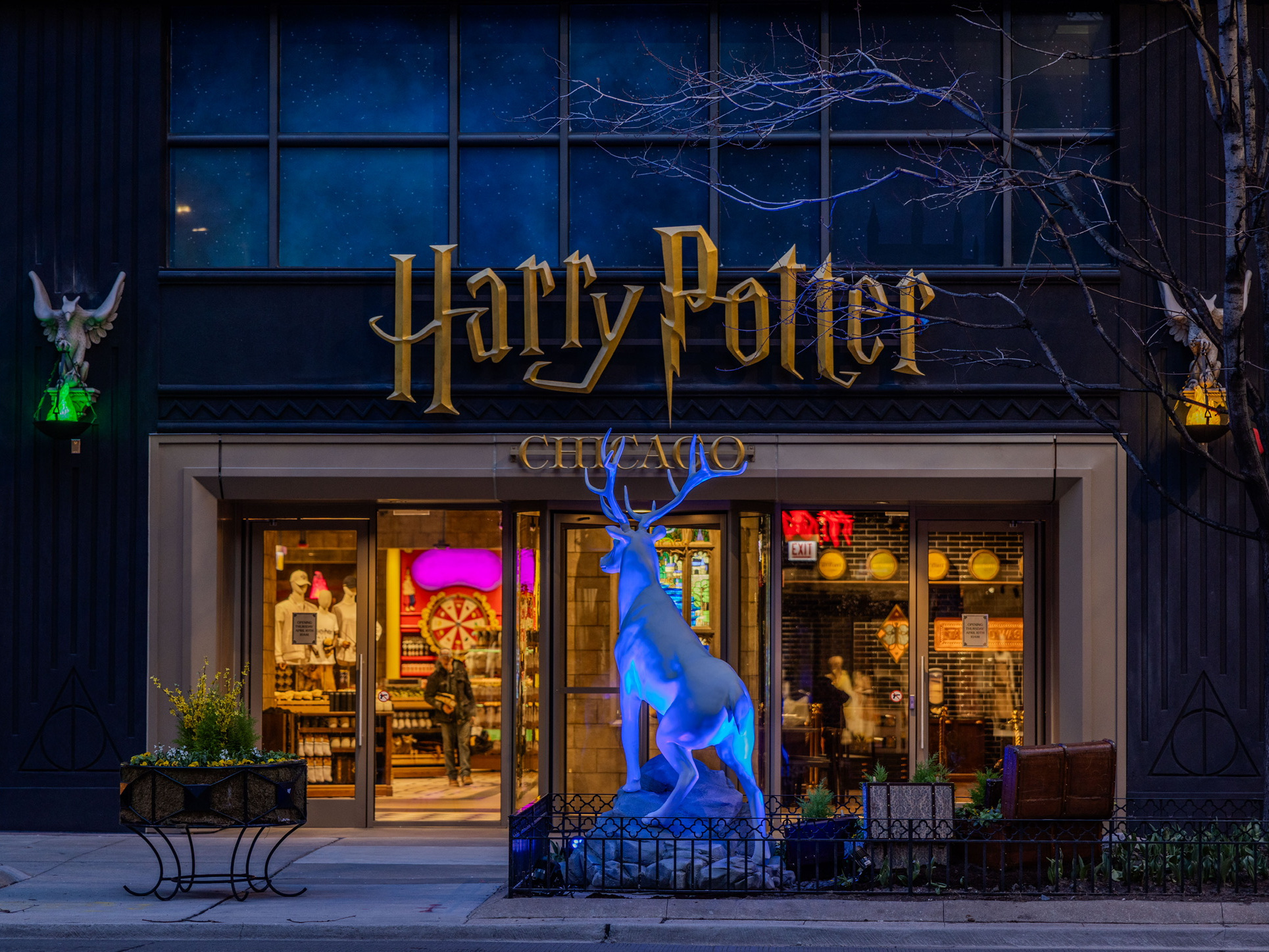 Harry Potter Shop Celebrates One Year With Free Cake and Fun in Chicago