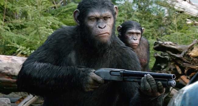 Ape-solutely BANANAS! WSJ Reports on Hair-Raising Civil War That Is Ravaging Africa – Twitchy