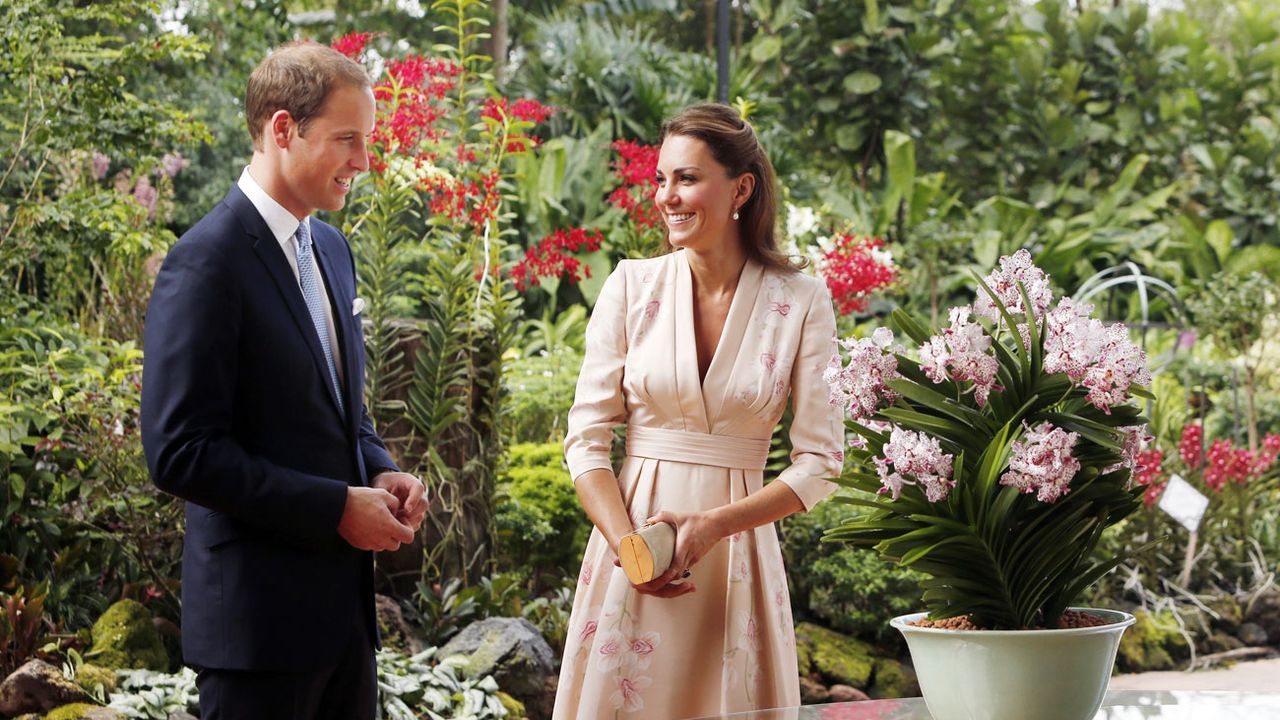 Prince Harry Lands in Afghanistan, William and Kate Decamp to Singapore and Meet Their Namesake Orchids! | Vanity Fair