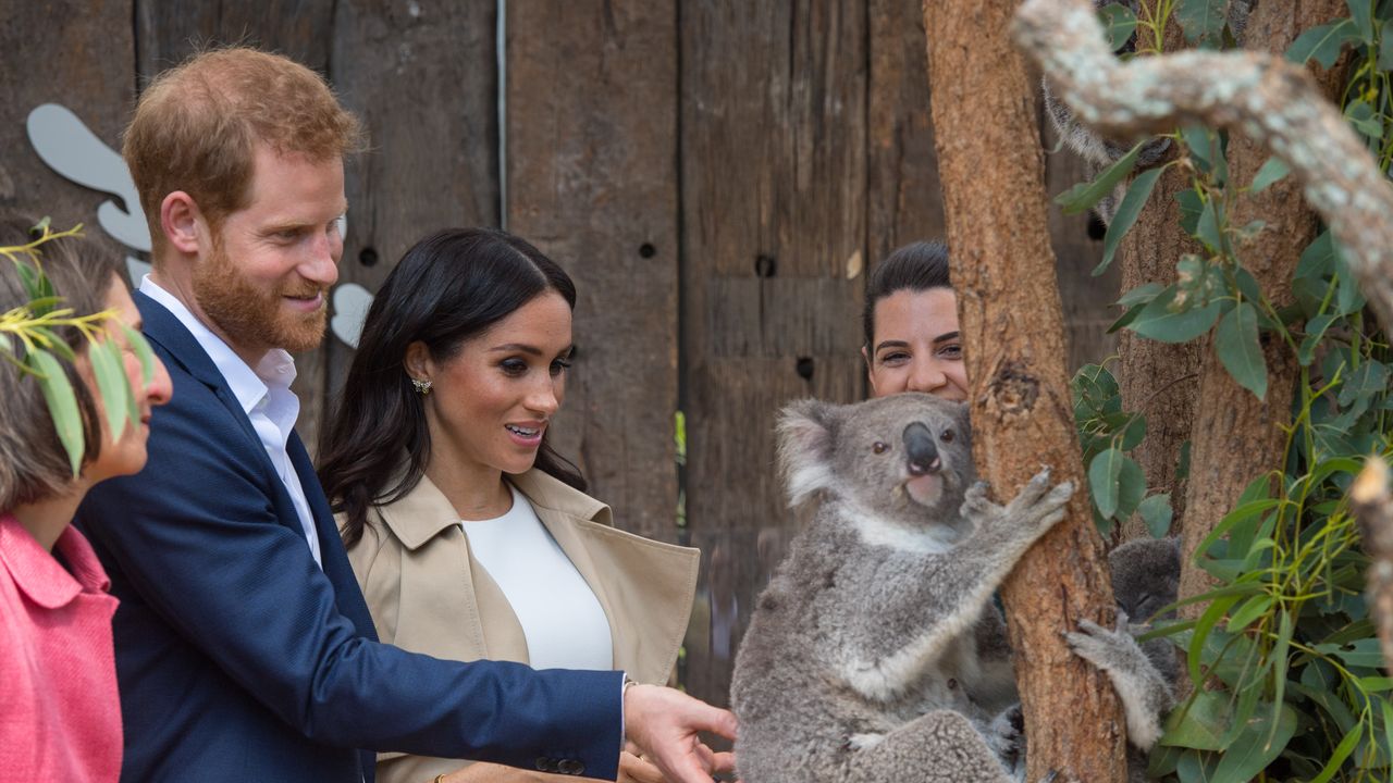 Meghan Markle and Prince Harry Are Headed To Australia | Vanity Fair