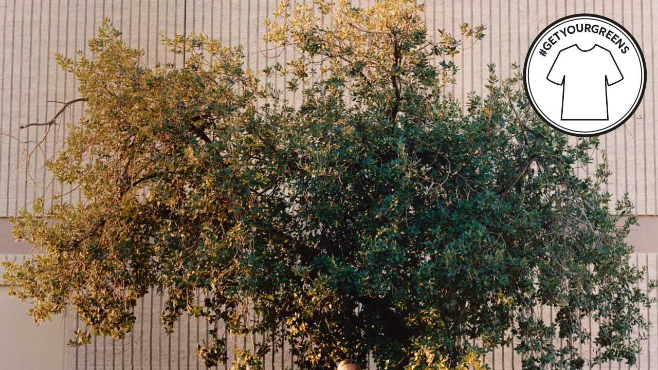 Is 2019 The Year Fashion Finally Takes Sustainability Seriously? | British Vogue | British Vogue